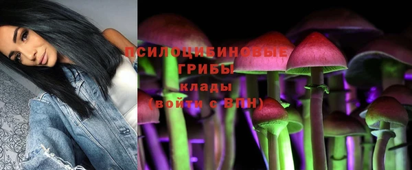 PSILOCYBIN Абдулино