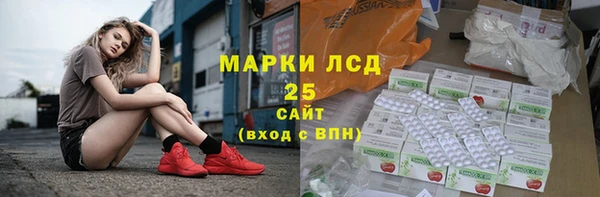 PSILOCYBIN Абдулино