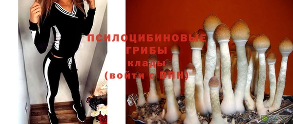 PSILOCYBIN Абдулино