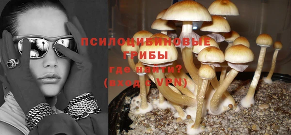 PSILOCYBIN Абдулино