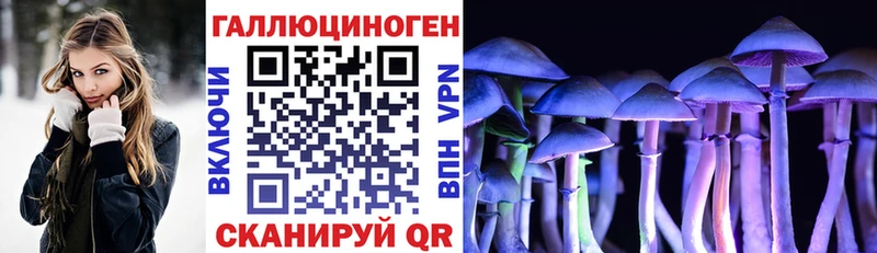 ссылка на мегу tor  Шилка  Псилоцибиновые грибы Cubensis 